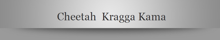 Cheetah  Kragga Kama
