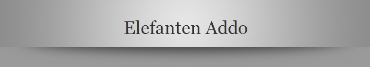 Elefanten Addo 