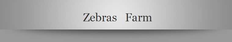 Zebras   Farm
